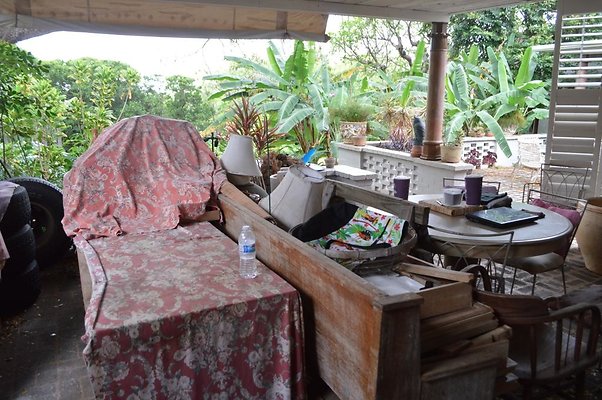 th DSC 0390 2 th DSC 0390 2