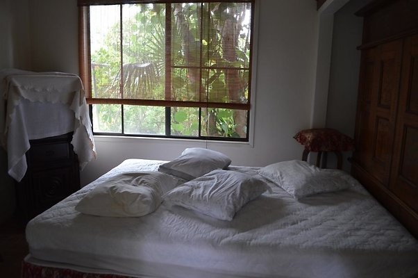 th DSC 0381 2 th DSC 0381 2