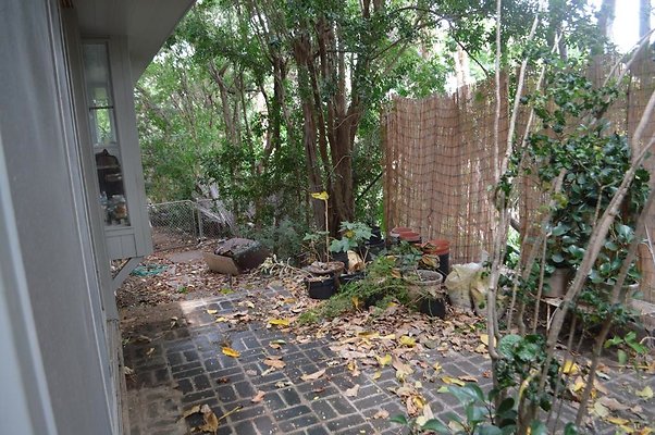 th DSC 0354 2 th DSC 0354 2