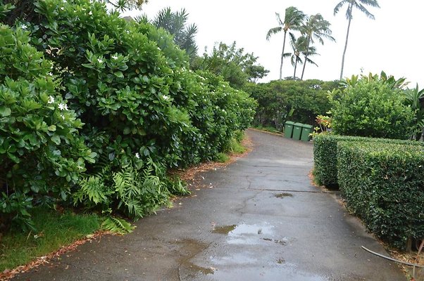 th DSC 0347 2 th DSC 0347 2