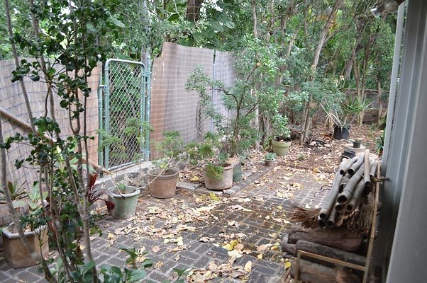 th DSC 0356 2 th DSC 0356 2