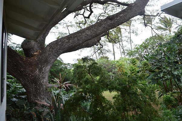 th DSC 0386 2 th DSC 0386 2