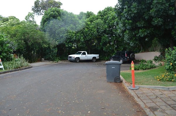 th DSC 0341 2 th DSC 0341 2