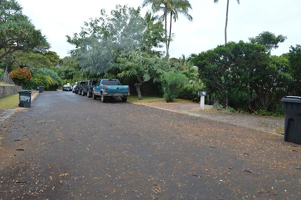 th DSC 0339 2 th DSC 0339 2