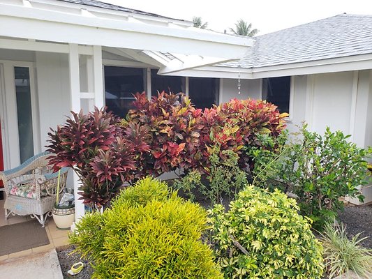 th 20190823 175743 th 20190823 175743