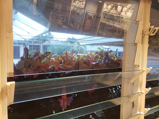 th 20190823 184043 th 20190823 184043