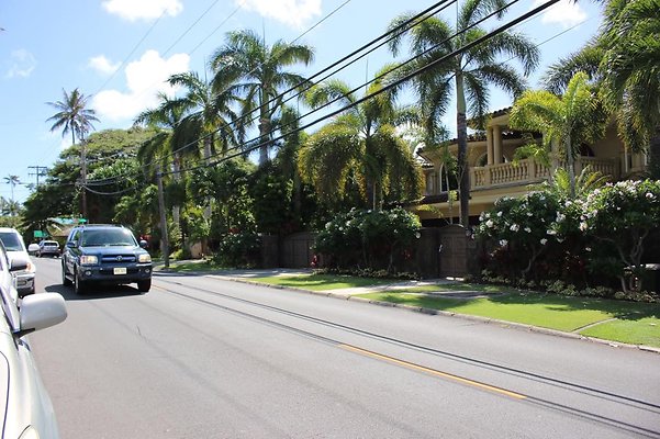 th IMG 0001 th IMG 0001