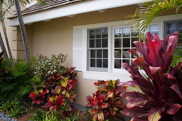 th IMG 9984 th IMG 9984