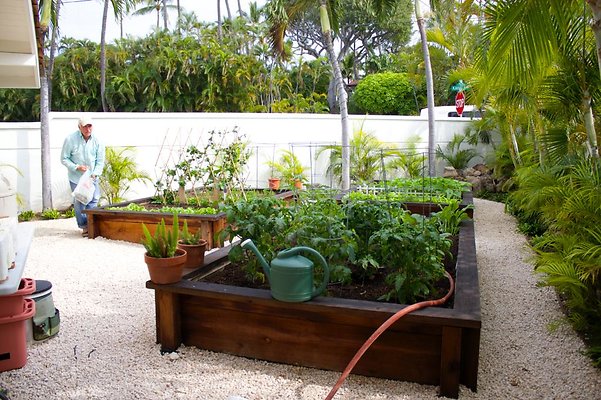 th IMG 0030 th IMG 0030