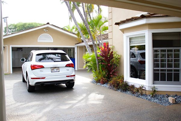 th IMG 9972 th IMG 9972