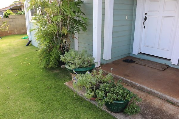 th IMG 0012 th IMG 0012