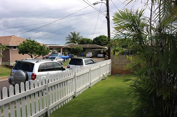 th IMG 0011 th IMG 0011