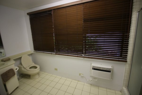 th IMG 1039 th IMG 1039