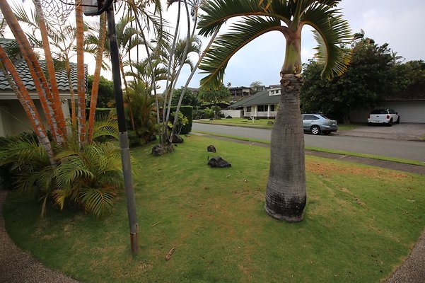 th IMG 1018 th IMG 1018