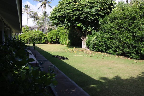 th IMG 1223 th IMG 1223