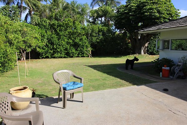 th IMG 1227 th IMG 1227