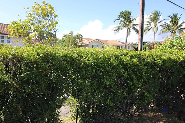 th IMG 1233 th IMG 1233