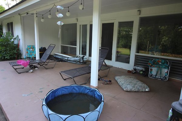 th IMG 1211 th IMG 1211