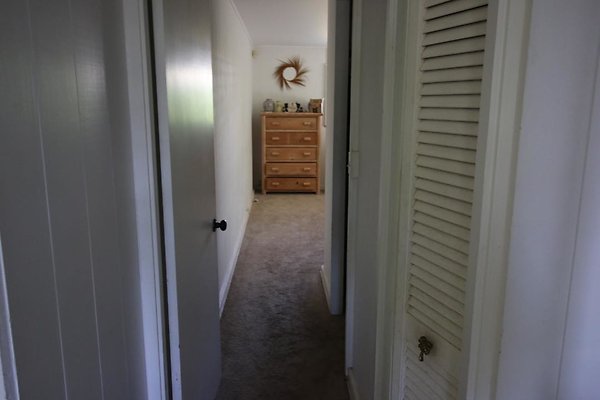 th IMG 1208 th IMG 1208