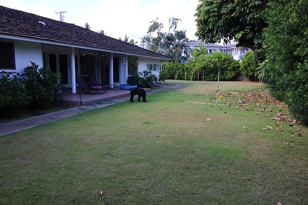 th IMG 1220 th IMG 1220