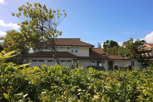 th IMG 1235 th IMG 1235