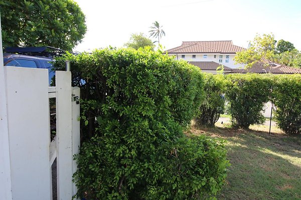 th IMG 1230 th IMG 1230