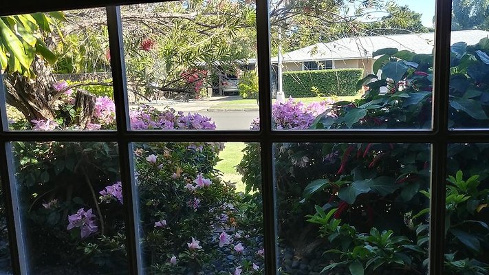 th 978Waiohinu 8 th 978Waiohinu 8