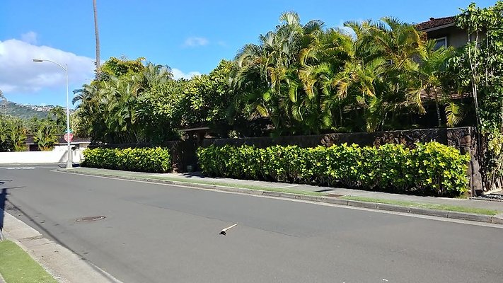 th 978Waiohinu 2a th 978Waiohinu 2a