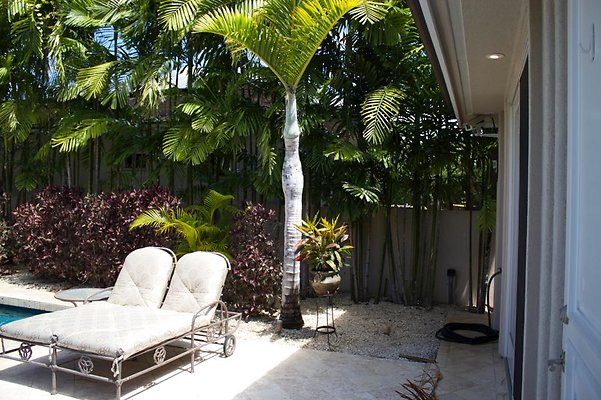 th IMG 0368 th IMG 0368