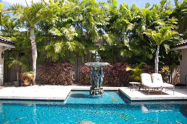 th IMG 0362 th IMG 0362