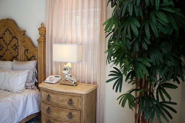 th IMG 0341 th IMG 0341