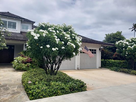 th 20190717 125500 th 20190717 125500