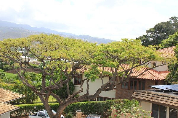 th IMG 1869 th IMG 1869