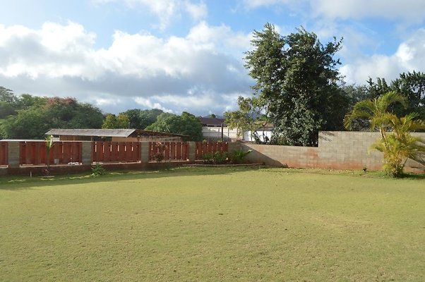 th DSC 0166 th DSC 0166