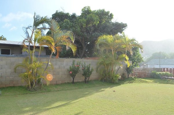 th DSC 0164 th DSC 0164