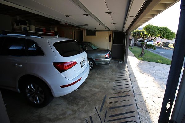 th IMG 1164 th IMG 1164