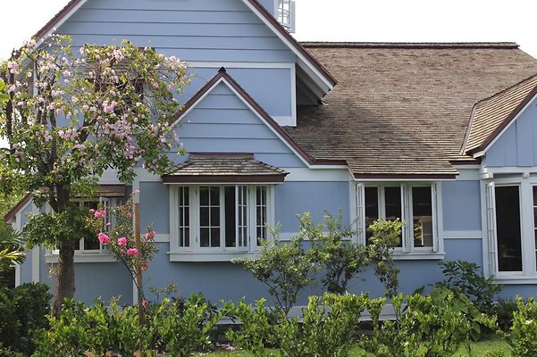 th IMG 1765 th IMG 1765