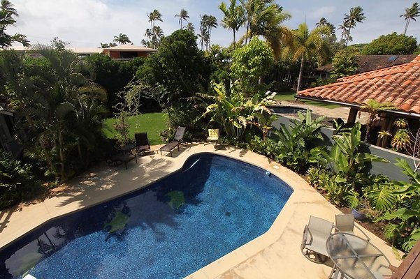 th IMG 1819 th IMG 1819