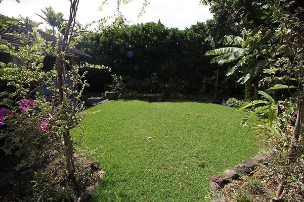 th IMG 1796 th IMG 1796