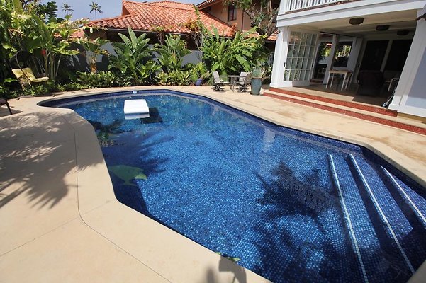 th IMG 1795 th IMG 1795