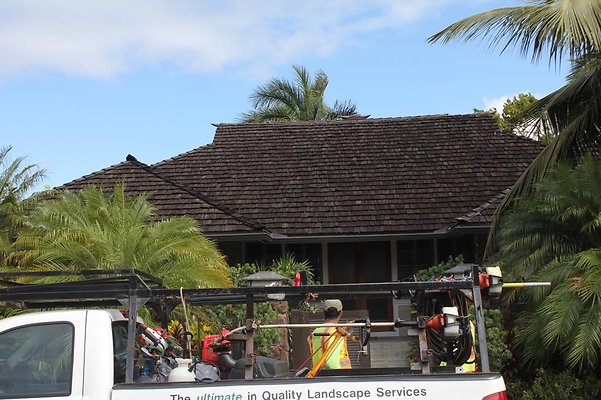 th IMG 1768 th IMG 1768