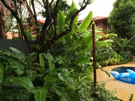 HI50 S6 2015-08-24 09.29.11 HI50 S6 2015-08-24 09.29.11