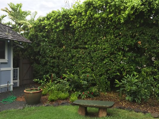 HI50 S6 2015-08-24 09.29.25 HI50 S6 2015-08-24 09.29.25