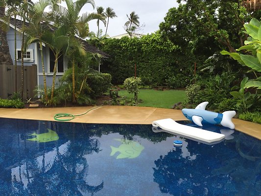 HI50 S6 2015-08-24 09.30.48 HI50 S6 2015-08-24 09.30.48