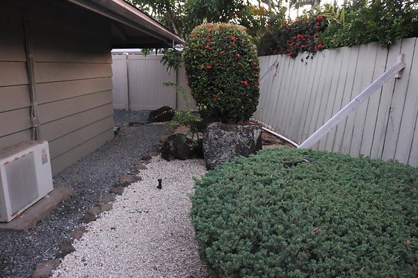 th IMG 0611 th IMG 0611