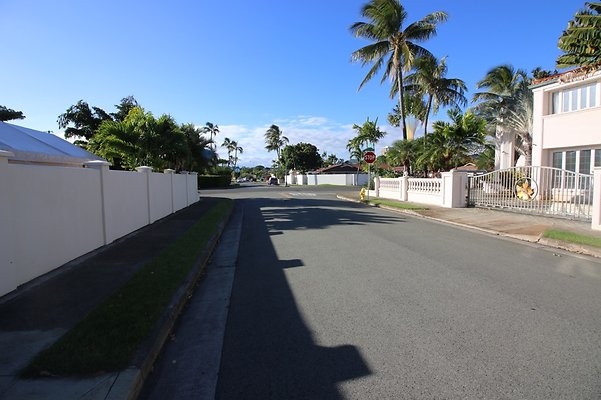 th IMG 3388 th IMG 3388