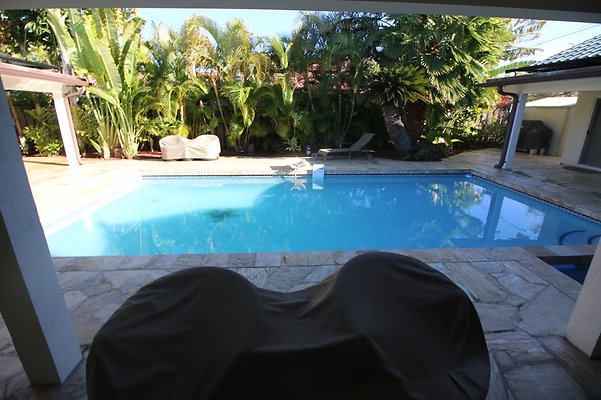 th IMG 3360 th IMG 3360