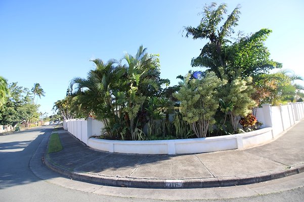 th IMG 3385 th IMG 3385