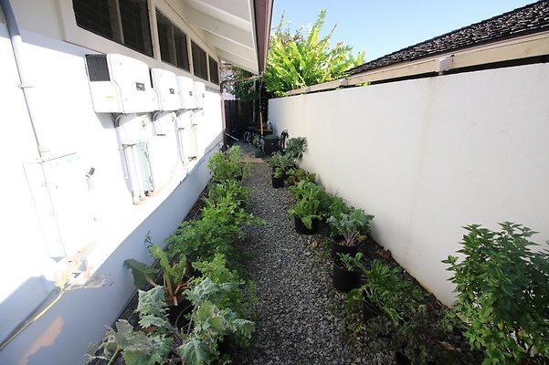 th IMG 3368 th IMG 3368