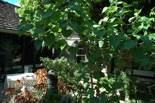 HI50 S5 DSC 0676 HI50 S5 DSC 0676